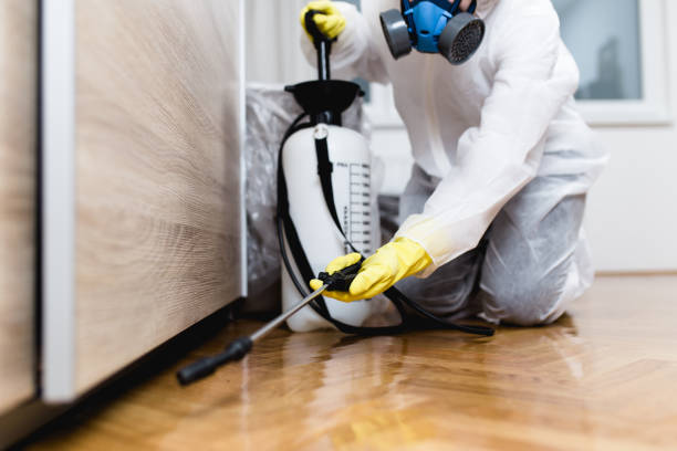 Best Affordable Pest Control Services  in New Hope, AL