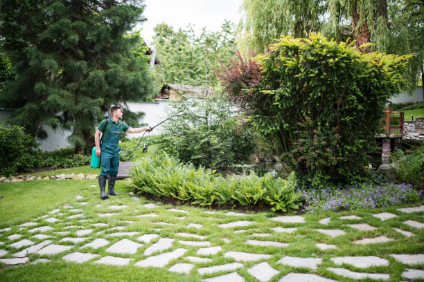 Best Residential Pest Control  in New Hope, AL
