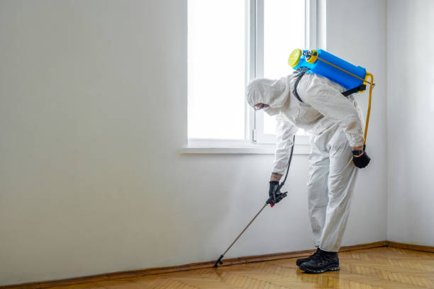 Best Best Pest Control Companies  in New Hope, AL