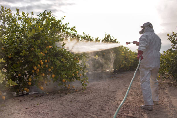 Best Mosquito Control Services  in New Hope, AL