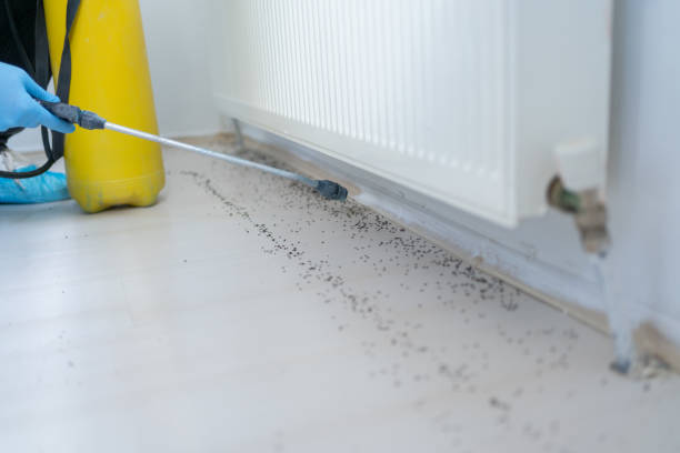 Best Residential Pest Control  in New Hope, AL
