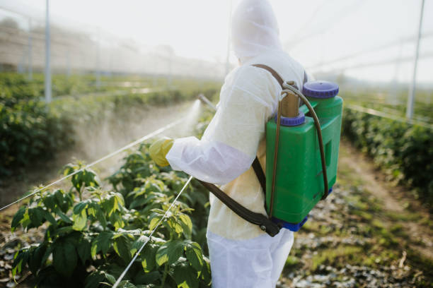Wildlife Control Services in New Hope, AL